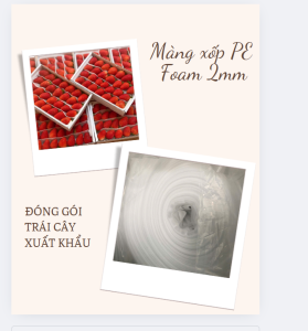 MÀNG XỐP BỌC TRÁI CÂY