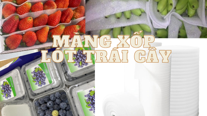 mangxoplottraicay màng xốp lót trái cây