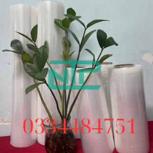 hình ảnh màng PE NTP