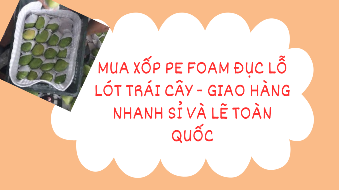 MUA XỐP PE FOAM ĐỤC LỖ LÓT TRÁI CÂY - GIAO HÀNG NHANH SỈ VÀ LẼ TOÀN QUỐC