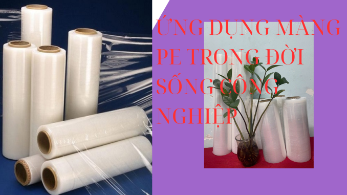 ỨNG DỤNG MÀNG PE TRONG ĐỜI SỐNG CÔNG NGHIỆP