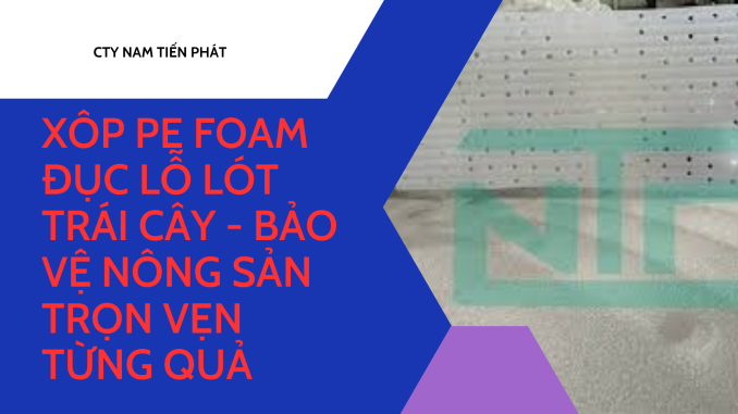 XÔP PE FOAM ĐỤC LỖ LÓT TRÁI CÂY - BẢO VỆ NÔNG SẢN TRỌN VẸN TỪNG QUẢ