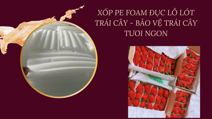 XỐP PE FOAM ĐỤC LỖ LÓT TRÁI CÂY - BẢO VỆ TRÁI CÂY TƯƠI NGON
