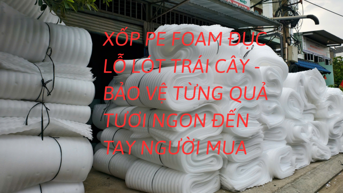 XỐP PE FOAM ĐỤC LỖ LÓT TRÁI CÂY - BẢO VỆ TỪNG QUẢ TƯƠI NGON ĐẾN TAY NGƯỜI MUA