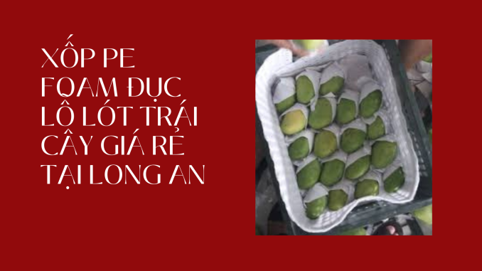 XỐP PE FOAM ĐỤC LỖ LÓT TRÁI CÂY GIÁ RẺ TẠI LONG AN
