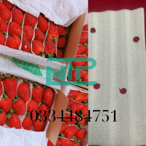hình ảnh xốp đục lỗ NTP