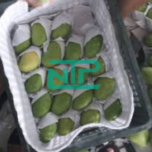hình ảnh minh hoạ