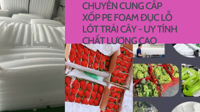 CHUYÊN CUNG CẤP XỐP PE FOAM ĐỤC LỖ LÓT TRÁI CÂY - UY TÍNH CHẤT LƯỢNG CAO