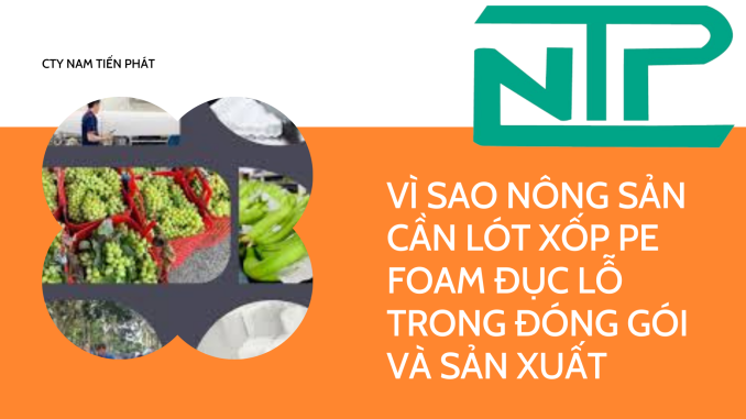 VÌ SAO NÔNG SẢN CẦN LÓT XỐP PE FOAM ĐỤC LỖ TRONG ĐÓNG GÓI VÀ SẢN XUẤT