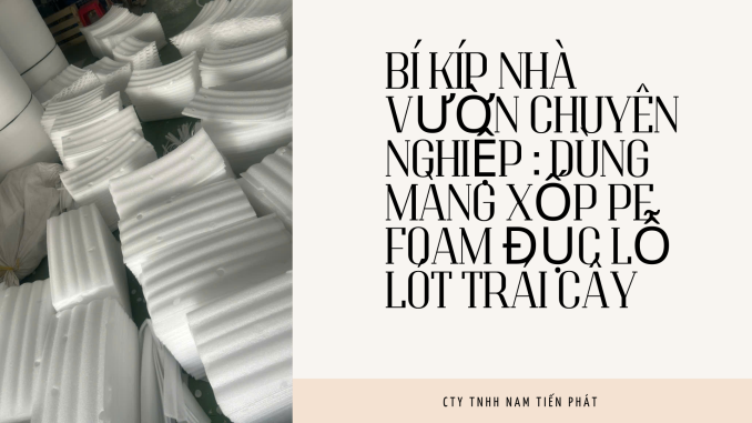 BÍ KÍP NHÀ VƯỜN CHUYÊN NGHIỆP DÙNG MÀNG XỐP PE FOAM ĐỤC LỖ LÓT TRÁI CÂY