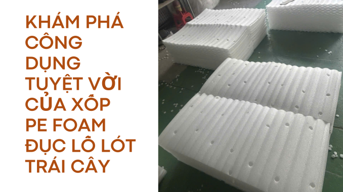 KHÁM PHÁ CÔNG DỤNG TUYỆT VỜI CỦA XỐP PE FOAM ĐỤC LỖ LÓT TRÁI CÂY