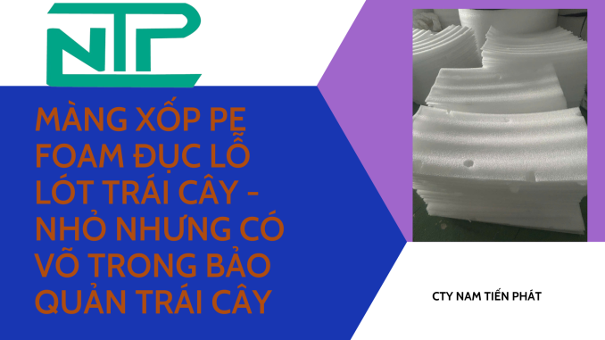 MÀNG XỐP PE FOAM ĐỤC LỖ LÓT TRÁI CÂY - NHỎ NHƯNG CÓ VÕ TRONG BẢO QUẢN TRÁI CÂY