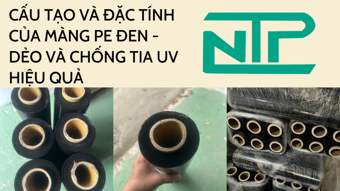 CẤU TẠO VÀ ĐẶC TÍNH CỦA MÀNG PE ĐEN - DẺO VÀ CHỐNG TIA UV HIỆU QUẢ
