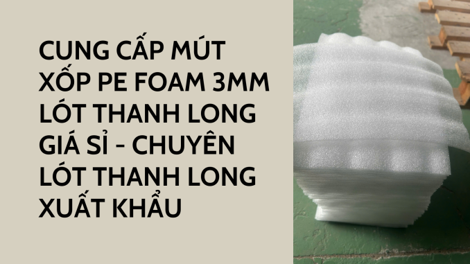CUNG CẤP MÚT XỐP PE FOAM 3MM LÓT THANH LONG GIÁ SỈ - CHUYÊN LÓT THANH LONG XUẤT KHẨU