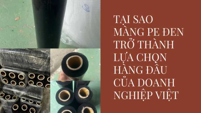 TẠI SAO MÀNG PE ĐEN TRỞ THÀNH LỰA CHỌN HÀNG ĐẦU CỦA DOANH NGHIỆP VIỆT