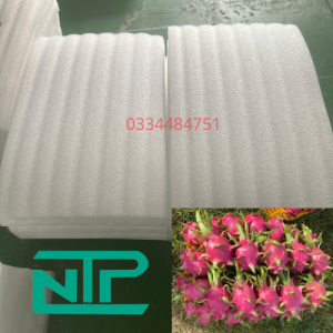 Hình ảnh minh hoạ