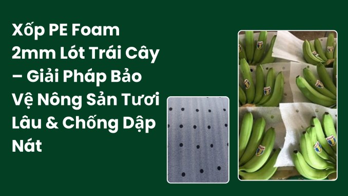 Xốp PE Foam 2mm Lót Trái Cây
