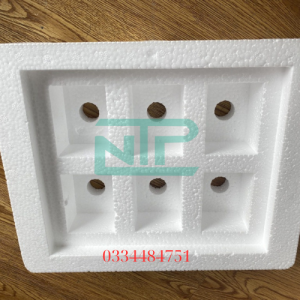 Hình ảnh khay xốp EPS NTP 